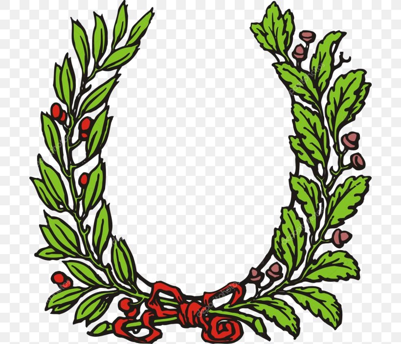 Laurel Wreath Bay Laurel Olive Wreath Clip Art, PNG, 700x704px, Laurel Wreath, Artwork, Bay Laurel, Bay Leaf, Branch Download Free