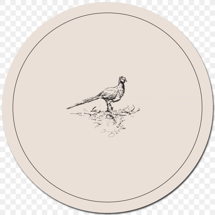 Rooster Oval Beak, PNG, 3189x3189px, Rooster, Beak, Bird, Chicken, Galliformes Download Free
