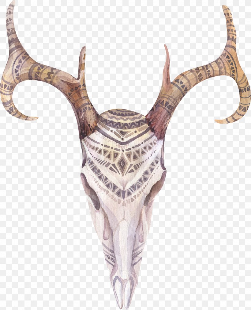 Deer Antler Bohemianism Skull Illustration, PNG, 1890x2331px, Deer, Antler, Art, Bohemianism, Bohochic Download Free