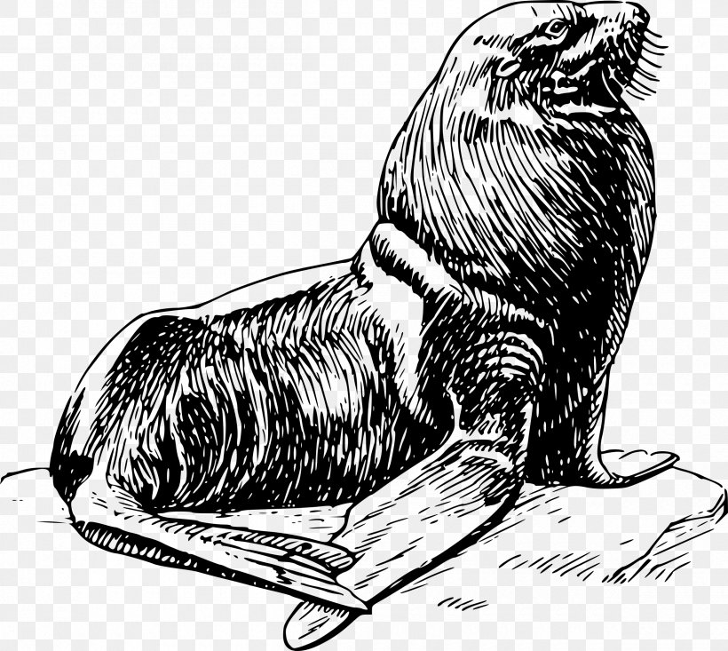 Earless Seal Art Clip Art, PNG, 2400x2147px, Earless Seal, Art, Beak, Bear, Beaver Download Free