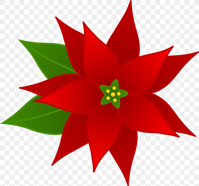 Poinsettia Download Clip Art, PNG, 5747x5369px, Poinsettia, Christmas, Drawing, Flora, Flower Download Free