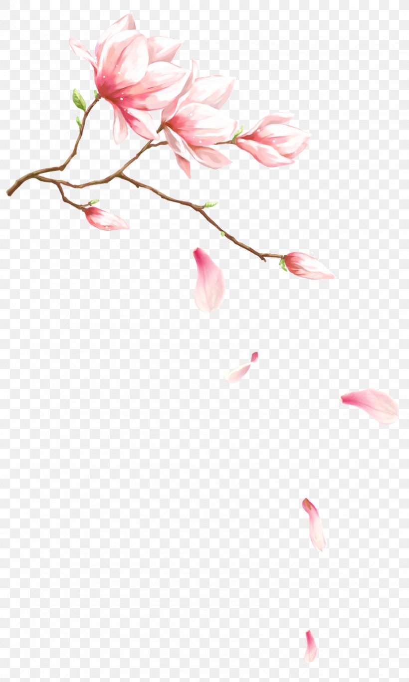 Watercolor Painting Flower, PNG, 1592x2656px, Watercolor Painting, Art, Blossom, Branch, Cherry Blossom Download Free