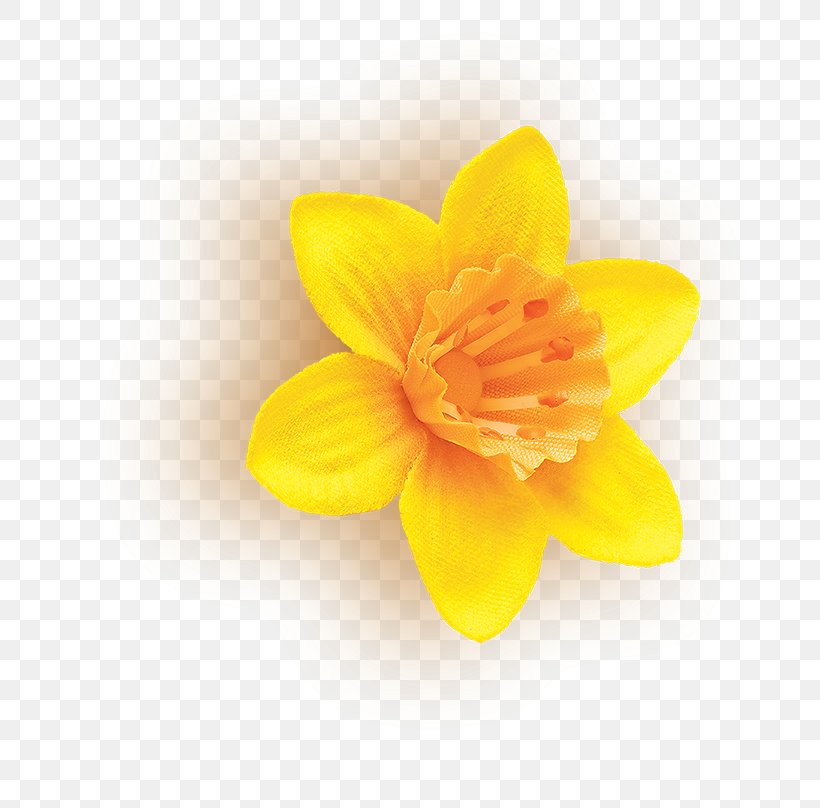 Yellow Flower Textile Petal Disguise, PNG, 750x808px, Yellow, Clothing Accessories, Color, Costume Party, Cut Flowers Download Free