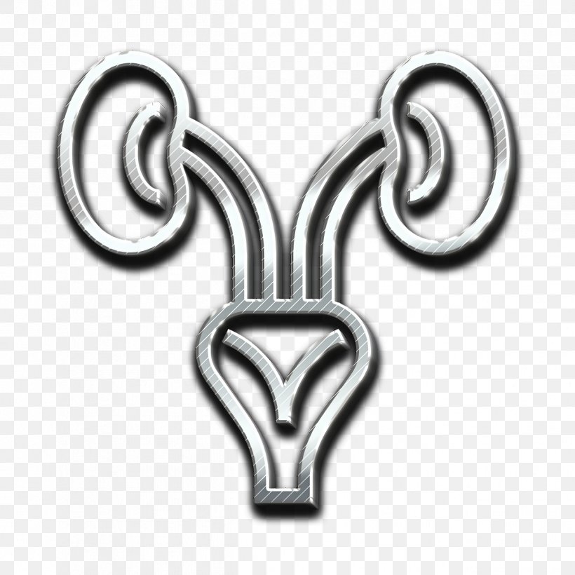 Bladder Icon Kidneys Icon Nephron Icon, PNG, 1262x1262px, Bladder Icon, Kidneys Icon, Locket, Metal, Nephron Icon Download Free