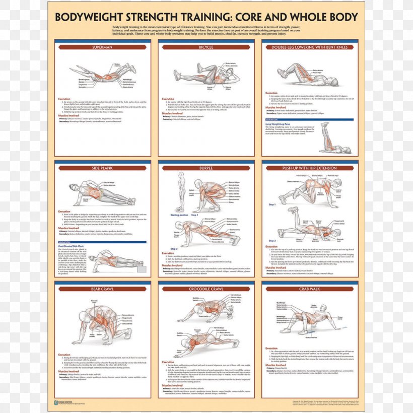 Bodyweight Strength Training Anatomy Bodyweight Exercise, PNG, 1000x1000px, Strength Training, Area, Bodyweight Exercise, Exercise, Highintensity Interval Training Download Free