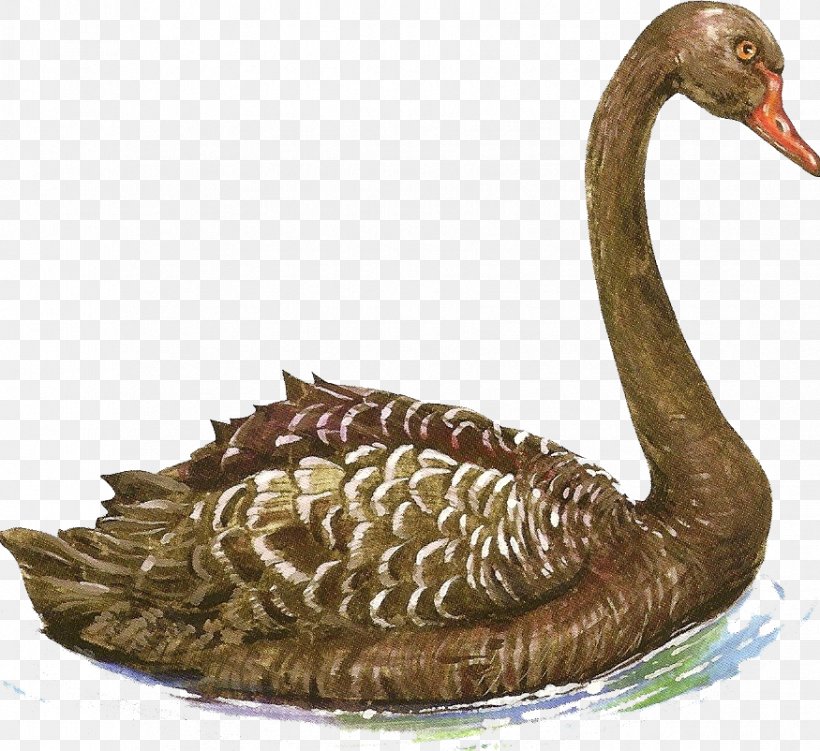 Cygnini Duck Painting Animal, PNG, 875x802px, Cygnini, Animal, Beak, Black Swan, Duck Download Free
