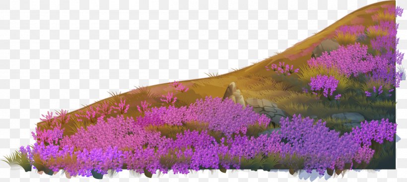 English Lavender Violet Euclidean Vector, PNG, 2430x1092px, English Lavender, Flora, Flower, Flowering Plant, Google Images Download Free