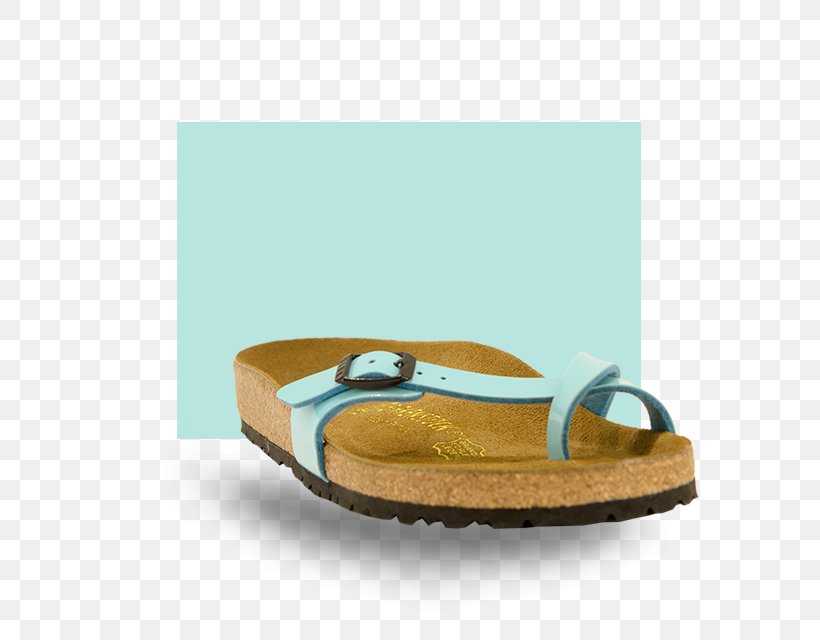 Flip-flops Shoe, PNG, 768x640px, Flipflops, Beige, Electric Blue, Flip Flops, Footwear Download Free