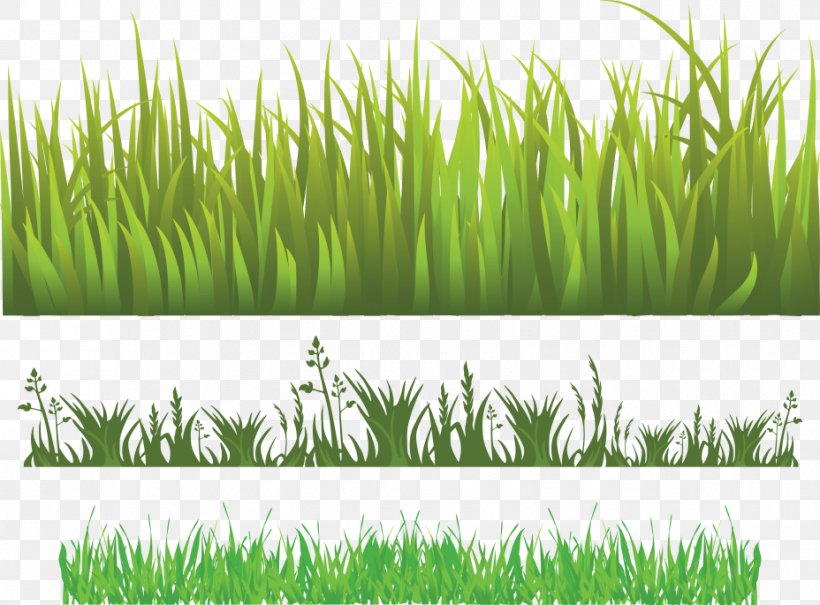 Herbaceous Plant Meadow Lawn, PNG, 928x685px, Herbaceous Plant, Chrysopogon Zizanioides, Commodity, Crop, Depositfiles Download Free