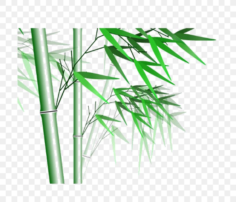 Bamboo Computer File, PNG, 700x700px, Bamboo, Bottle, Data, Dots Per Inch, Grass Download Free