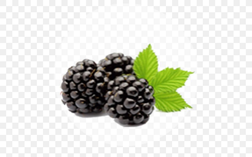 Blackberry Fruit Granita Shutterstock, PNG, 512x512px, Blackberry, Berry, Bilberry, Blueberry, Boysenberry Download Free