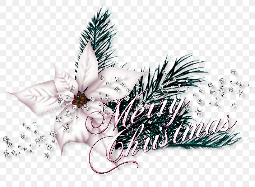 Christmas Ornament, PNG, 800x600px, Christmas Ornament, Christmas, Conifer, Fir, Pine Download Free