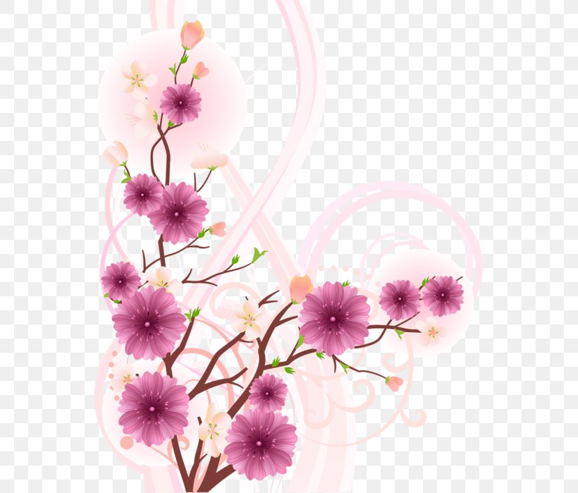 Flower Clip Art, PNG, 551x699px, Flower, Blossom, Branch, Cherry Blossom, Flora Download Free