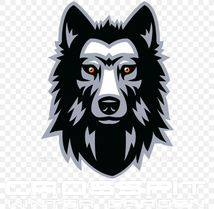 CrossFit Winter Garden Gray Wolf Drawing, PNG, 800x800px, Crossfit Winter Garden, Carnivoran, Crossfit, Dog, Dog Like Mammal Download Free