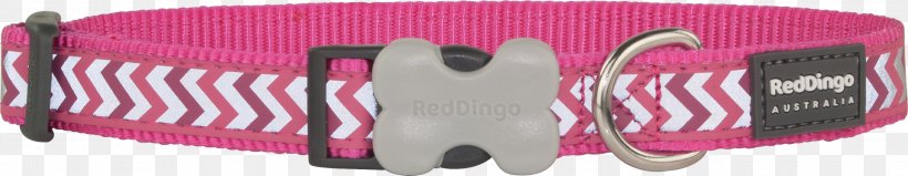 Dog Dingo Pet Collar Leash, PNG, 3000x584px, Dog, Bag, Brand, Cat, Centimeter Download Free