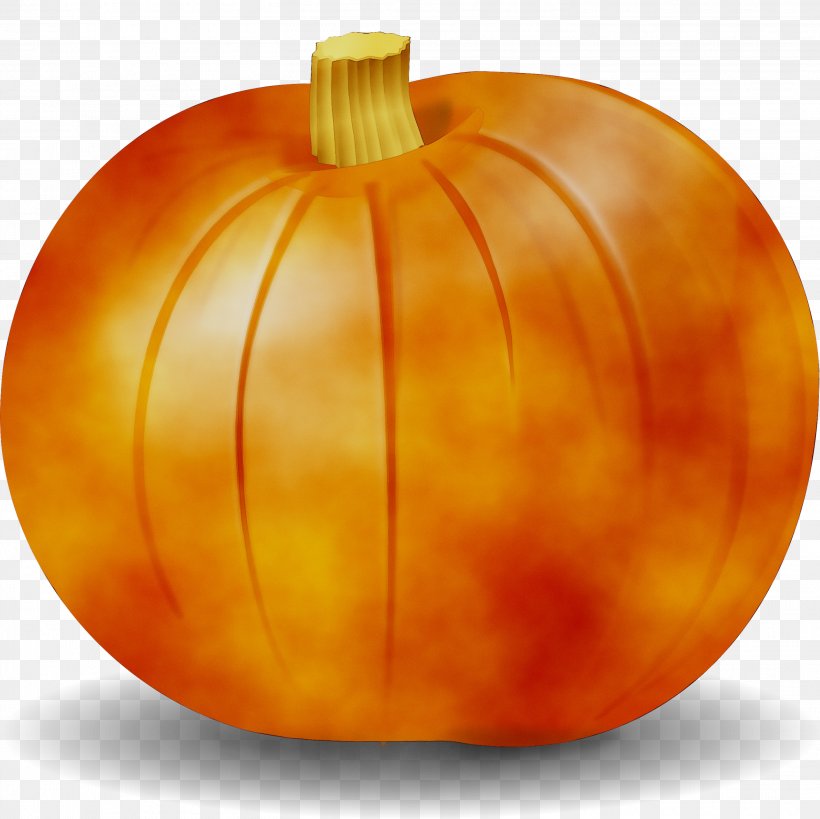 Jack-o'-lantern Winter Squash Pumpkin Gourd, PNG, 2928x2928px, Jackolantern, Calabaza, Carving, Cucurbita, Food Download Free