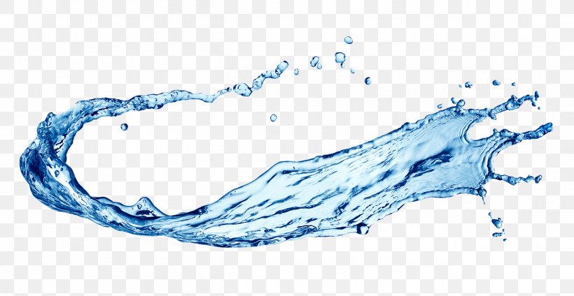 Water Bottles Clip Art, PNG, 1302x674px, Water, Body Water, Drinking Water, Drop, Organism Download Free