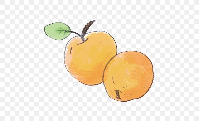 Orange Citrus Food Fruit, PNG, 500x500px, Orange, Apple, Citrus, Food, Fruit Download Free