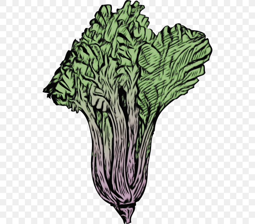 Cabbage Leaf Vegetable Plant Vegetable Tree, PNG, 546x720px, Watercolor, Cabbage, Cruciferous Vegetables, Leaf Vegetable, Paint Download Free