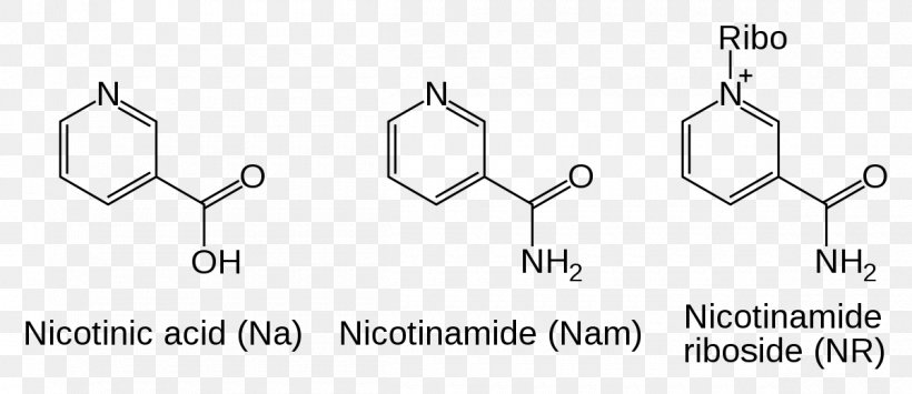 Nicotinamide Adenine Dinucleotide Nicotinamide Riboside, PNG, 1200x520px, Nicotinamide Adenine Dinucleotide, Adenine, Area, Auto Part, Black And White Download Free
