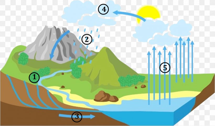 Wind Cartoon, PNG, 1069x628px, Water Cycle, Condensation, Diagram, Ecoregion, Evaporation Download Free