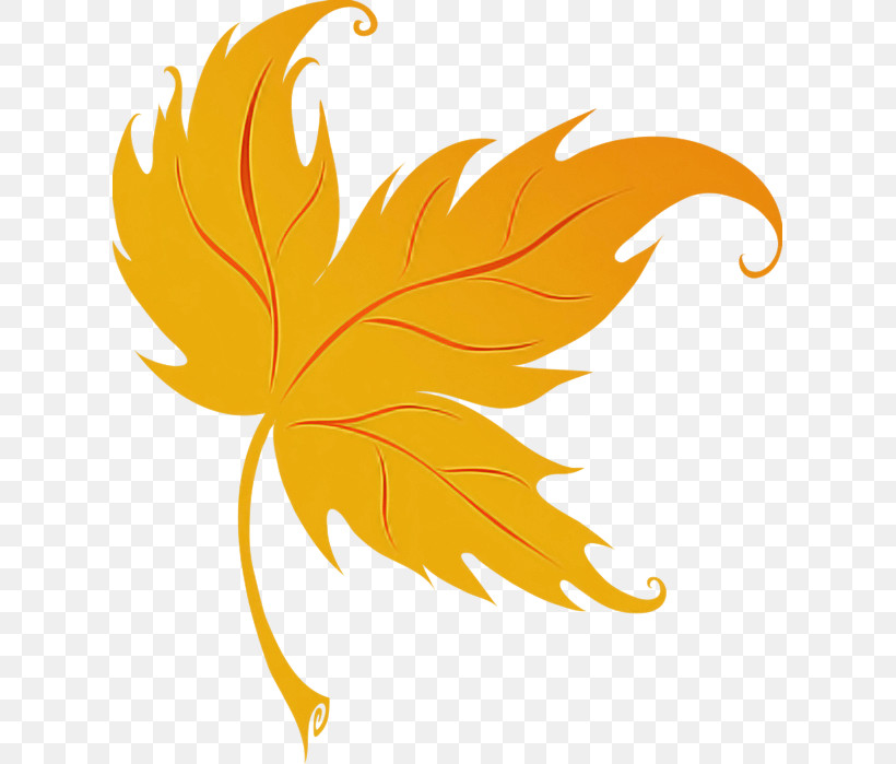 Maple Leaf, PNG, 613x699px, Leaf, Maple Leaf, Orange, Plane, Plant Download Free