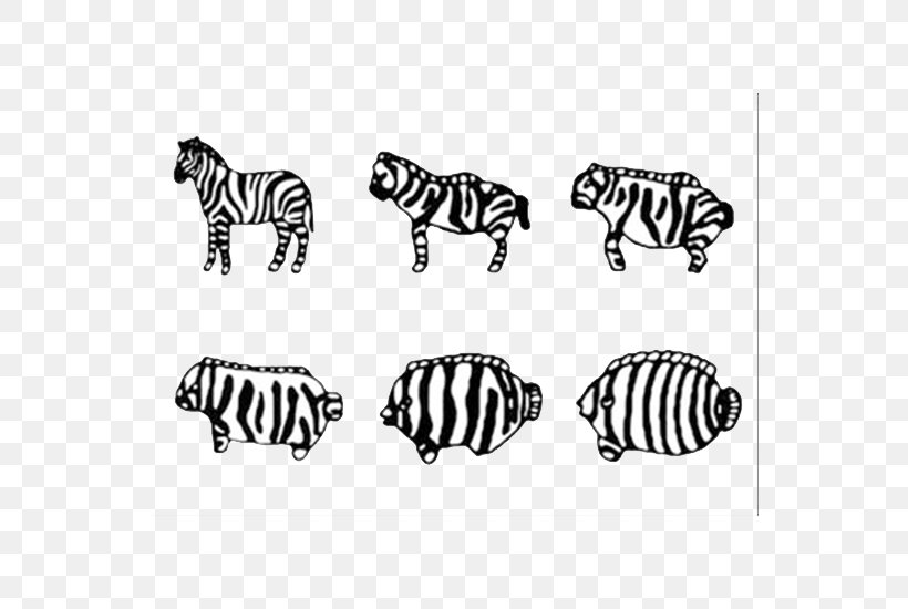 Zebra Graphic Design, PNG, 550x550px, Zebra, Art, Black, Black And White, Carnivoran Download Free