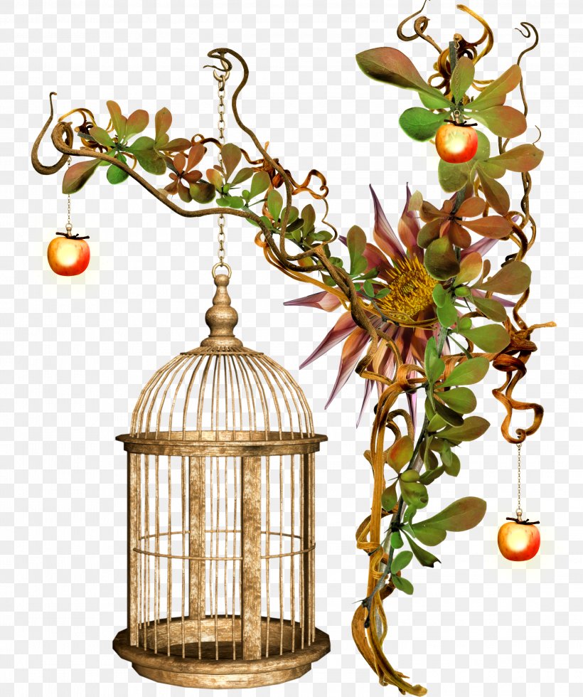 Birdcage Birdcage Cockatiel Parrot, PNG, 2995x3583px, Bird, Autumn, Birdcage, Branch, Cage Download Free