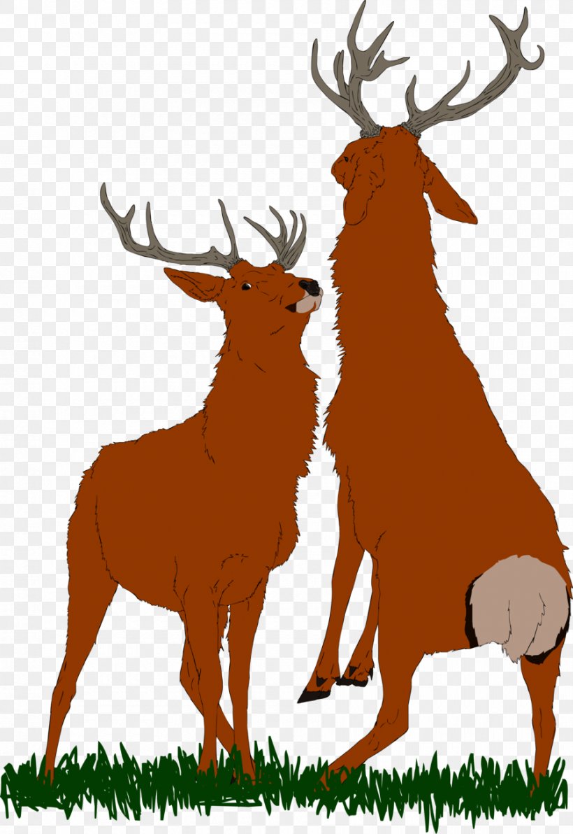 Elk Reindeer Antler Terrestrial Animal Clip Art, PNG, 900x1309px, Elk, Animal, Antler, Deer, Fauna Download Free
