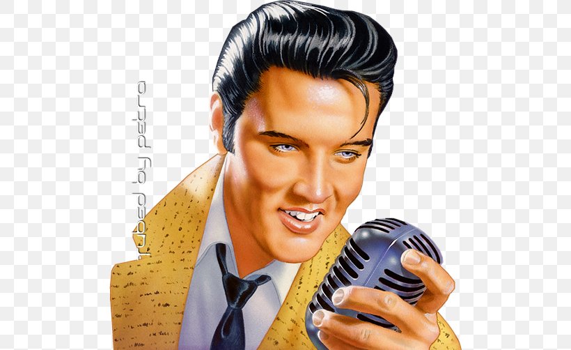 Elvis Presley Forever Stamp Graceland This Is Elvis Drawing, PNG,  506x502px, Watercolor, Cartoon, Flower, Frame, Heart