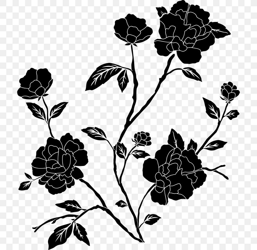 Flower Black And White Clip Art, PNG, 712x800px, Flower, Black, Black And White, Branch, Color Download Free