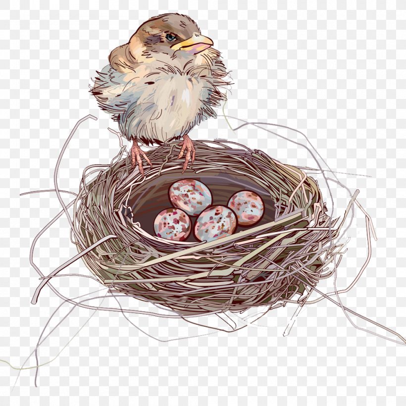 House Sparrow Bird Nest Bird Nest, PNG, 1000x1000px, Sparrow, Bird, Bird  Nest, Cartoon, Drawing Download Free