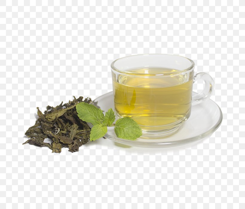 Oolong Chiang Mai Green Tea Earl Grey Tea, PNG, 700x700px, Oolong, Assam Tea, Chiang Mai, Chiang Mai Province, Cup Download Free
