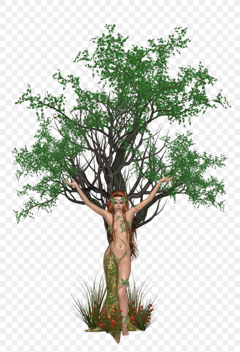 Tree Dryadella Liancheng County Clip Art, PNG, 1024x1502px, Tree, Branch, Dryad, Dryadella, Flowerpot Download Free