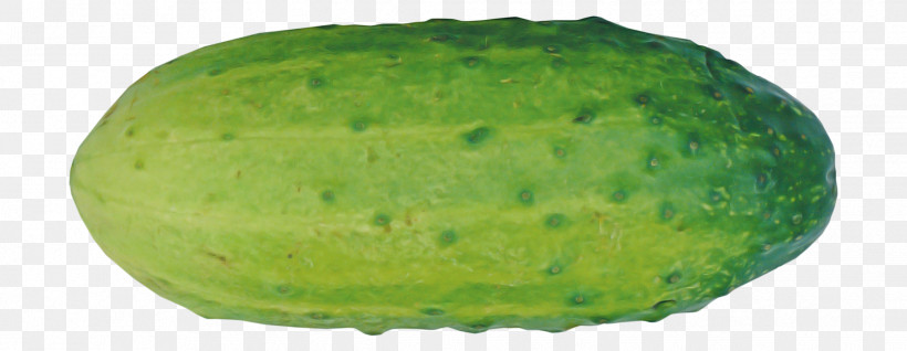 Watermelon, PNG, 2443x949px, Cucumber, Calabash, Cucumis, Fruit, Gourd Download Free