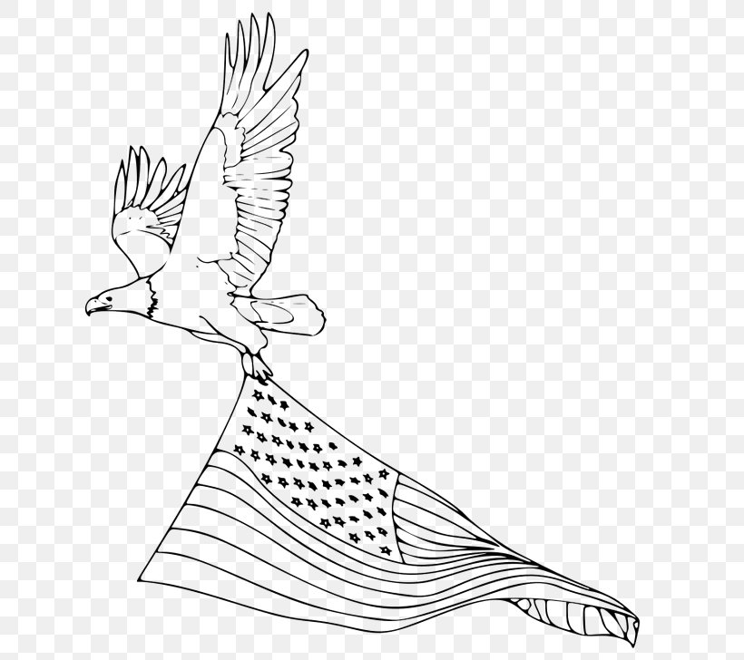 Bald Eagle Coloring Book Drawing Bird, PNG, 649x728px, Bald Eagle, Animal, Area, Art, Artwork Download Free