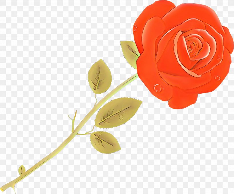 Garden Roses, PNG, 2999x2493px, Cartoon, Cut Flowers, Flower, Garden Roses, Pedicel Download Free