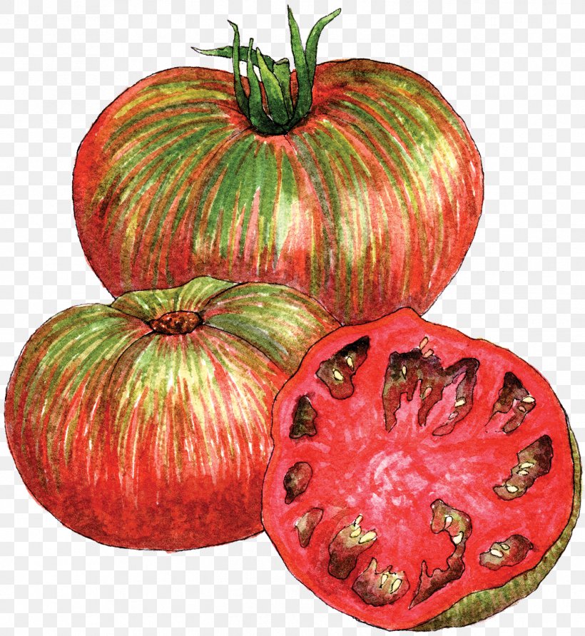 Heirloom Tomato Tie-dye Berkeley, PNG, 1395x1518px, Tomato, Berkeley, Calabaza, Cucurbita, Dye Download Free