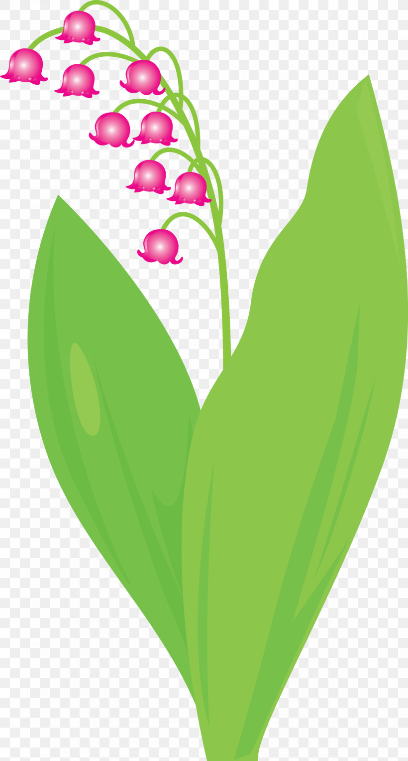 Lily Bell Flower, PNG, 1610x3000px, Lily Bell, Anthurium, Flower, Green, Heart Download Free
