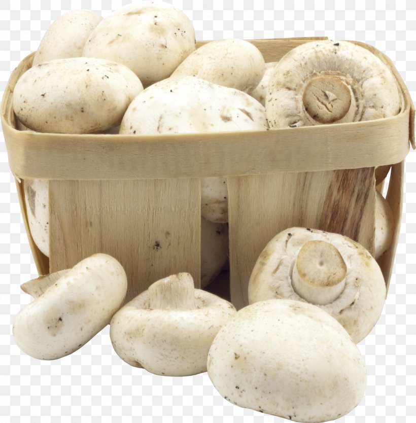 Snow Fungus Diabetic Diet Edible Mushroom, PNG, 2438x2480px, Fungus, Agaricaceae, Agaricus, Champignon Mushroom, Cloud Ear Fungus Download Free