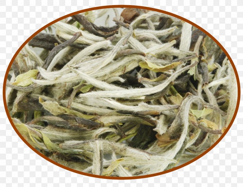 Bai Mudan Baihao Yinzhen White Tea Shoumei Tea, PNG, 1002x774px, Bai Mudan, Anchovy, Anchovy Food, Baihao Yinzhen, Biluochun Download Free
