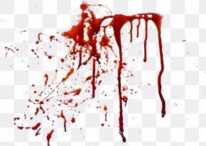 Blood Image Editing Clip Art Png 1023x2118px Blood Blood Plasma Image Editing Image File Formats Orange Download Free