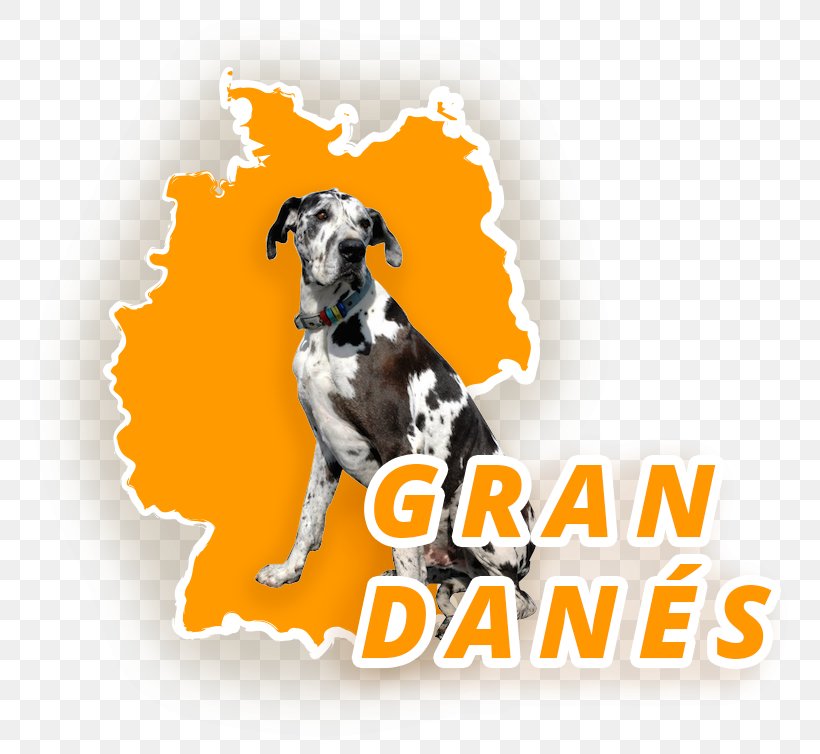 Dog Breed Great Dane Dogo Argentino Spanish Greyhound, PNG, 770x754px, Dog Breed, Alans, Breed, Carnivoran, Crossbreed Download Free