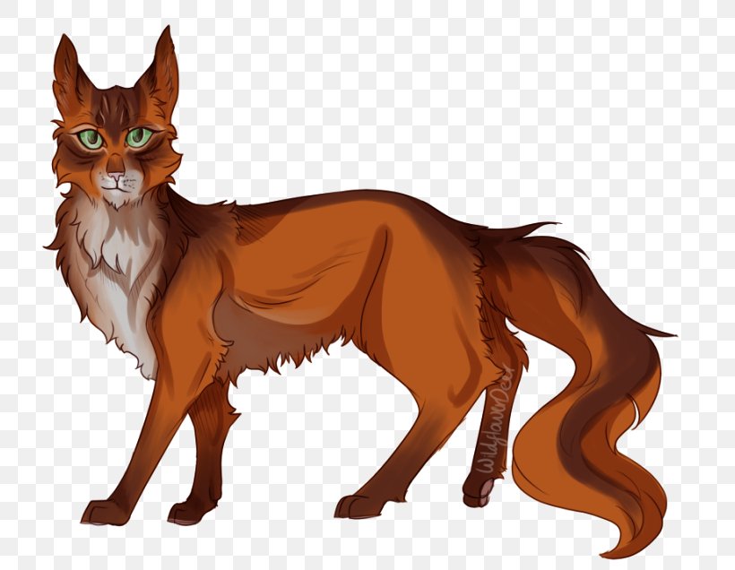 Whiskers Red Fox Cat Fauna Fur, PNG, 800x636px, Whiskers, Carnivoran, Cartoon, Cat, Cat Like Mammal Download Free