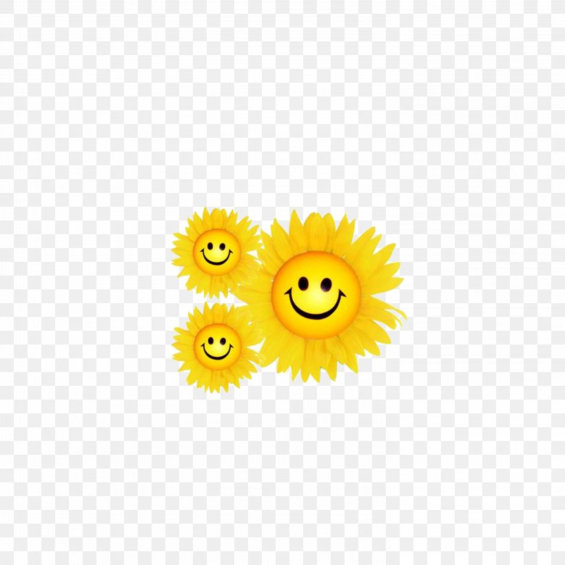 Common Sunflower Smiley Yellow Pattern, PNG, 2953x2953px, Common Sunflower, Computer, Flower, Flowering Plant, Smiley Download Free