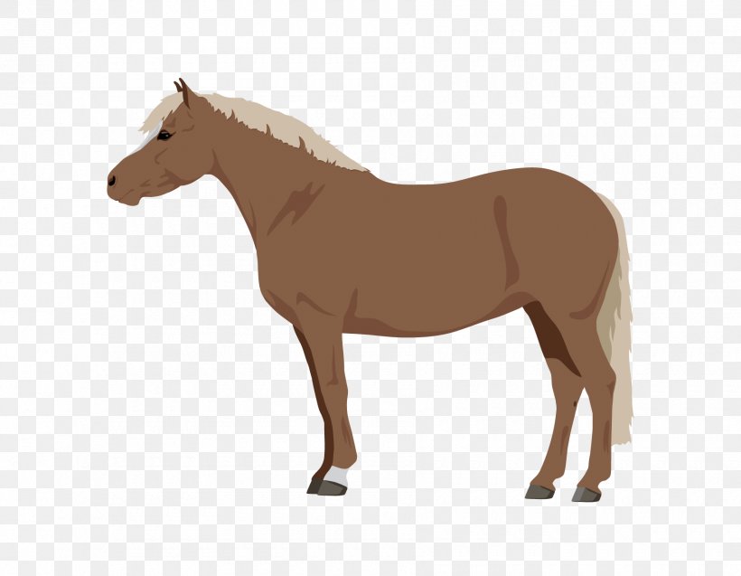 Horse Royalty-free Stock Photography Pony Illustration, PNG, 1800x1400px, Horse, Animal Figure, Art, Bridle, Colt Download Free