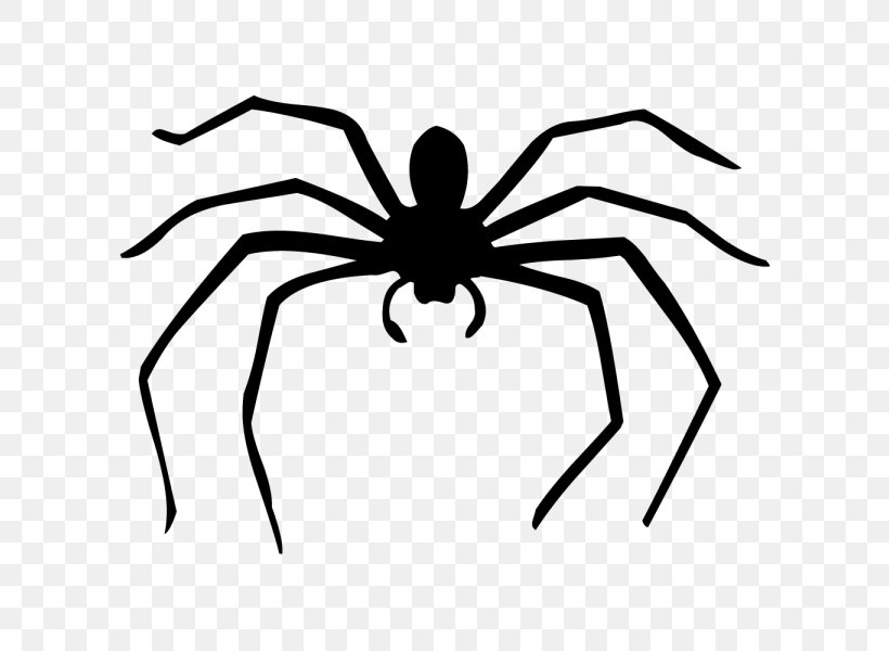 Spider Web Silhouette Drawing, PNG, 600x600px, Spider, Arachnid, Arthropod, Artwork, Black And White Download Free