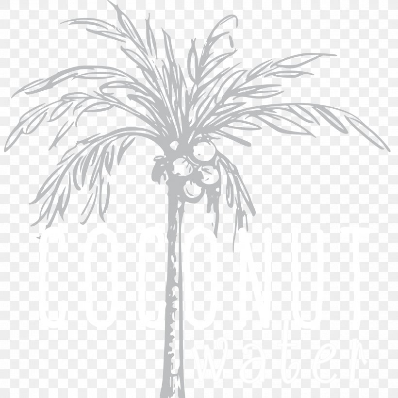 Twig Arecaceae Date Palm Plant Stem Leaf, PNG, 2500x2500px, Twig, Arecaceae, Arecales, Black And White, Branch Download Free