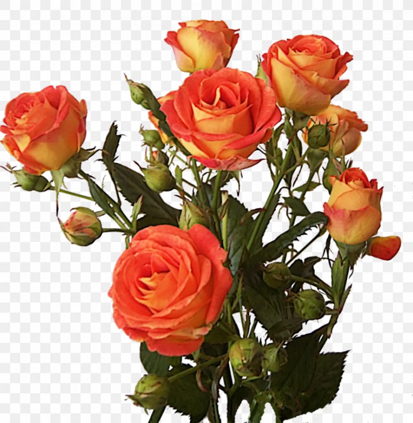Bush Roses Flower Clip Art, PNG, 883x904px, Bush Roses, Artificial Flower, Blue Rose, Cut Flowers, Drawing Download Free