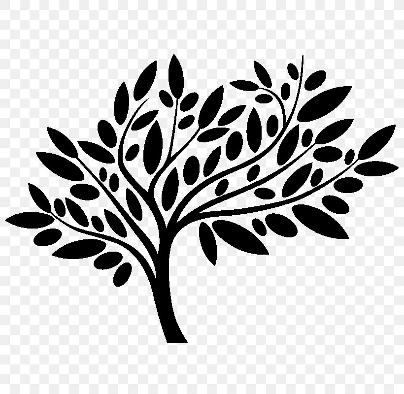 Olive Leaf Pecan Grove Family Dentistry- Gary Finch, DDS, MAGD Richmond Rosenberg, PNG, 800x800px, Olive, Black And White, Branch, Flora, Leaf Download Free